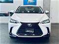 2021 Lexus NX