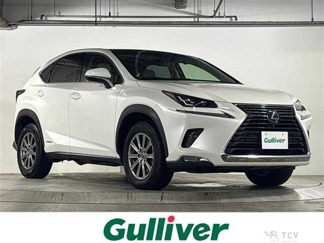 2018 Lexus NX
