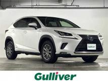 2018 Lexus NX
