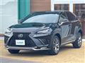 2019 Lexus NX