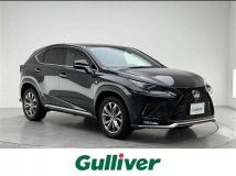2019 Lexus NX
