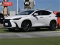 2022 Lexus NX