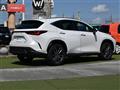 2022 Lexus NX