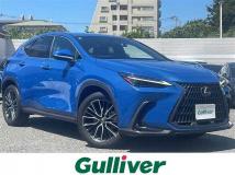 2023 Lexus NX