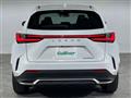 2024 Lexus NX