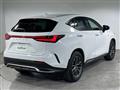 2024 Lexus NX