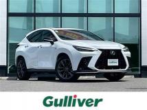 2021 Lexus NX