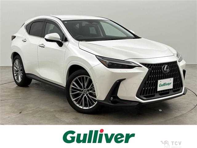 2023 Lexus NX