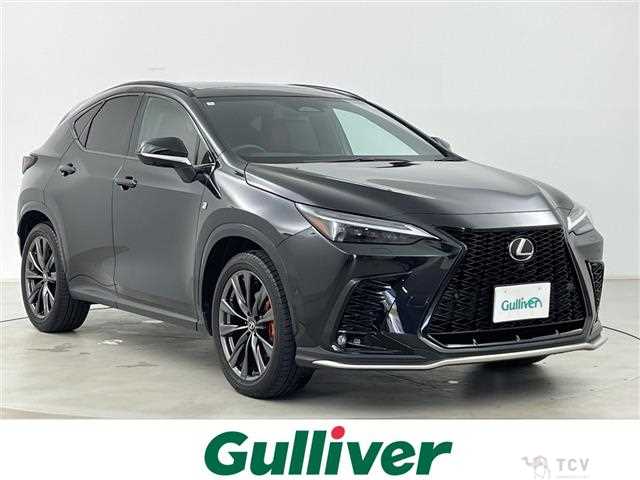 2024 Lexus NX