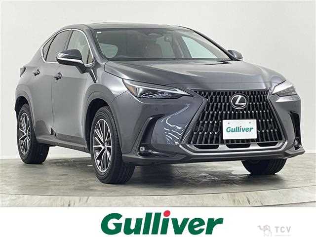 2023 Lexus NX