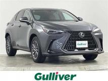 2023 Lexus NX