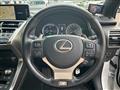 2020 Lexus NX