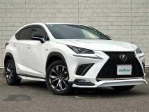 2020 Lexus NX