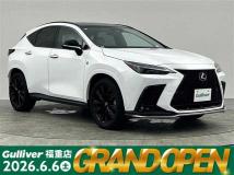 2023 Lexus NX