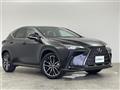 2023 Lexus NX