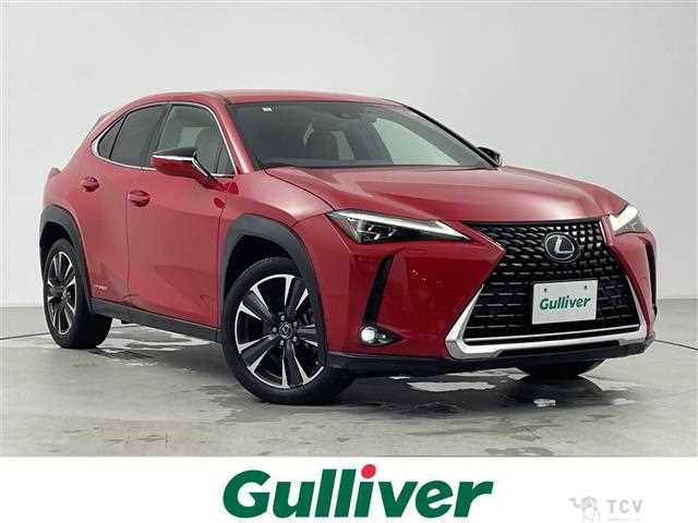 2020 Lexus UX