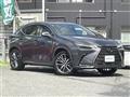 2022 Lexus NX