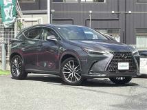 2022 Lexus NX