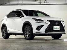 2019 Lexus NX