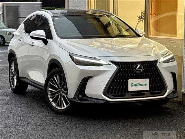 2024 Lexus NX