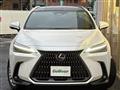 2024 Lexus NX