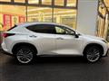 2024 Lexus NX