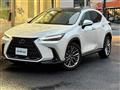 2024 Lexus NX