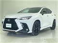 2024 Lexus NX