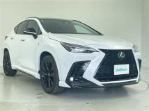 2024 Lexus NX