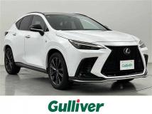 2022 Lexus NX