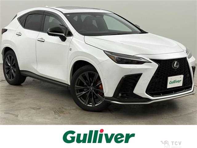 2024 Lexus NX
