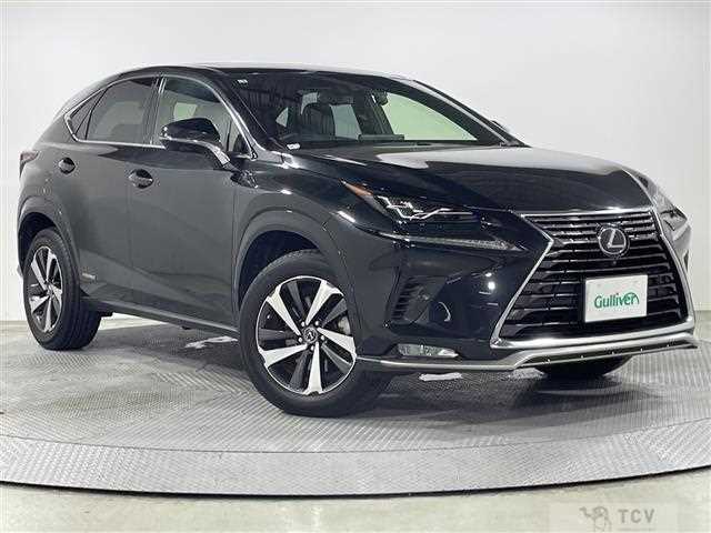 2021 Lexus NX