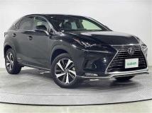 2021 Lexus NX