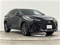 2022 Lexus NX