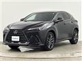 2022 Lexus NX