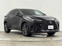 2022 Lexus NX