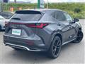 2024 Lexus NX