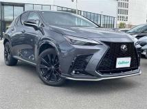 2024 Lexus NX