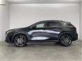2023 Lexus NX