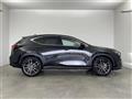 2023 Lexus NX