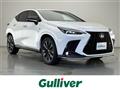 2025 Lexus NX