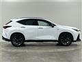 2021 Lexus NX