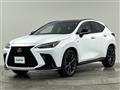 2021 Lexus NX