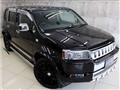 2007 Honda Crossroad
