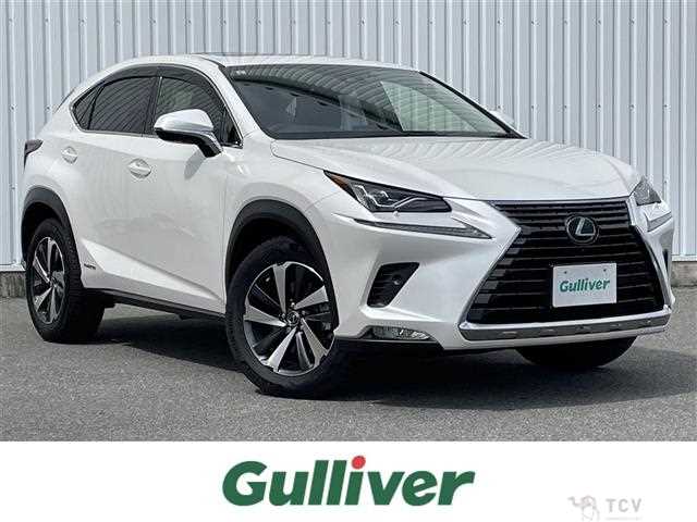 2019 Lexus NX
