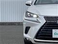 2019 Lexus NX