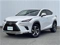 2019 Lexus NX