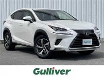 2019 Lexus NX