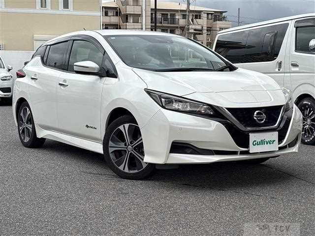 2018 Nissan Leaf