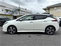 2018 Nissan Leaf